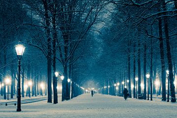The Hague in Winter by Raoul Suermondt