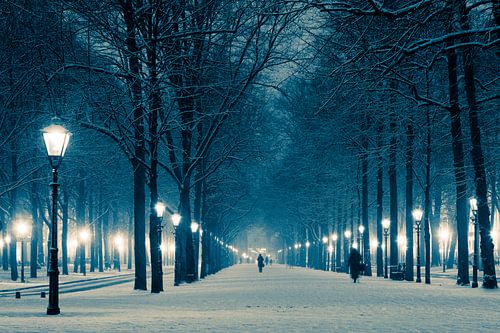 Lange Voorhout en hiver sur Raoul Suermondt