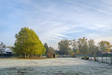 Frozen meadow by Johan Vanbockryck