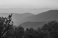 Het heuvellandschap van de Franse Cevennen in de nevel, zwart-wit foto van Fartifos thumbnail