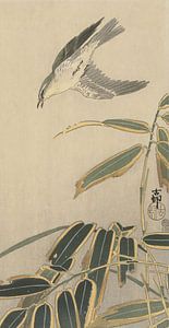 Ohara Koson - Steinschmätzer mit Bambus (bearbeitet)