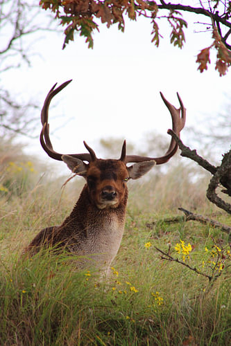 Autumn in the woods: face to face with nature!