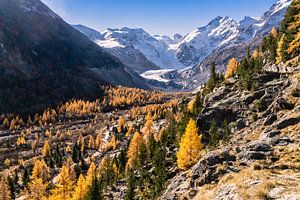 Morteratschgletscher Schweiz