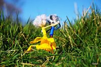 Fubby-Puppen tanzen im Gras mit Narzissenkleid.