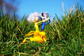 Fubby-Puppen tanzen im Gras mit Narzissenkleid.