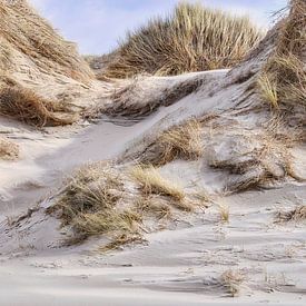 The dune along the Dutch coast after a storm by eric van der eijk