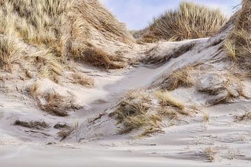 het duin langs de Hollandse kust na een storm van eric van der eijk