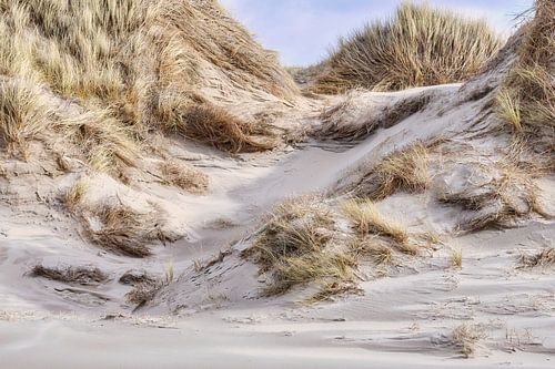 The dune along the Dutch coast after a storm