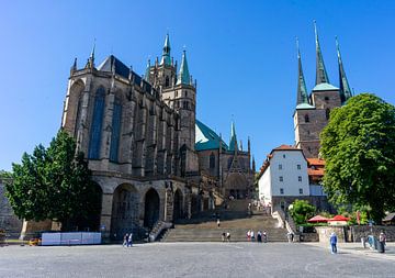 Erfurt Kathedraal met kerk van Animaflora PicsStock