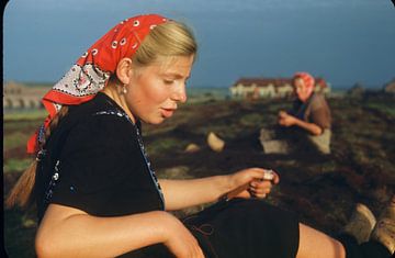 Marken 50er Jahre von Jaap Ros