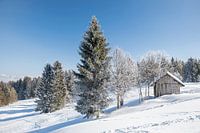 Winter landscape with hut