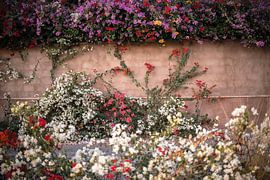 1001 flowers by Lieke Caminada