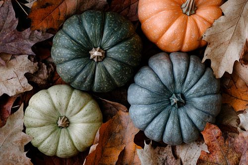 Pompoenen in de herfst