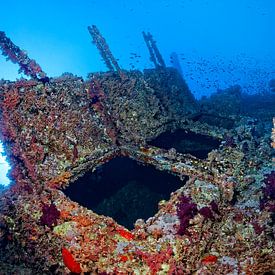 Numedia Shipwreck, Brother Islands by Norbert Probst