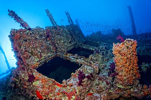 Numedia Schiffswrack, Brother Islands