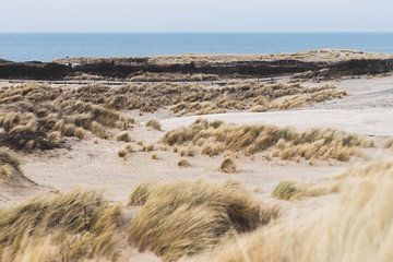 Dünen im Westduinpark in Scheveningen von Anne Zwagers