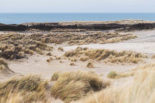 Dunes in the Westduinpark in Scheveningen
