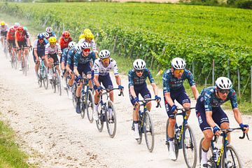 Visma Lease a Bike round of France gravel train by FreddyFinn