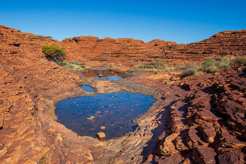 Kings Canyon II by Ronne Vinkx