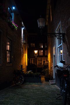Dutch Alley bij nacht van Dario En Holanda