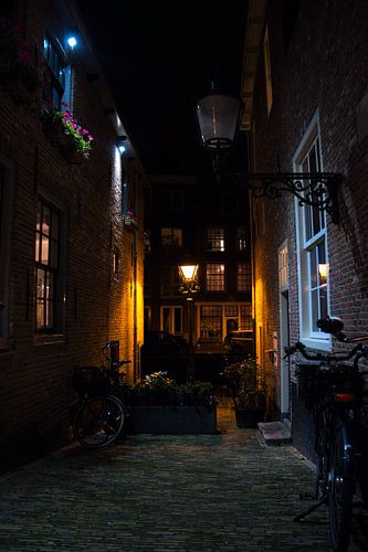 Allée hollandaise de nuit