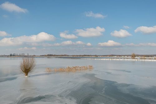 Bevroren landschap