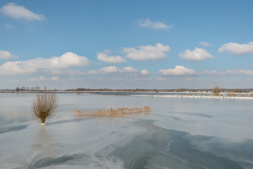 Frozen landscape by Moetwil en van Dijk - Fotografie