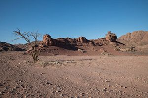 rotsen en zand in de woestijn van israel