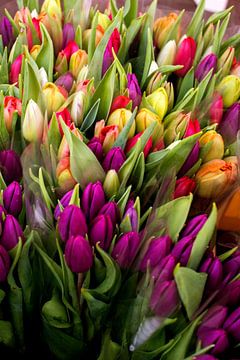 Tulipes au marché de la ville sur Blond Beeld