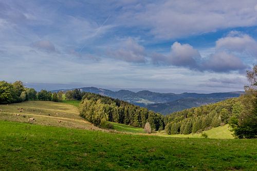 Prachtig wandelparadijs op de Rennsteig/Thüringerwoud