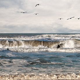 La mer du Nord un jour d'hiver à Hoek van Holland sur Henk Hulshof