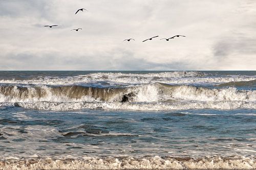 The North Sea on a winter's day at Hoek van Holland