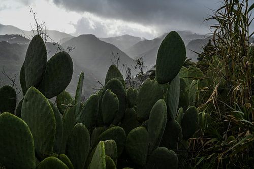 Gran Canaria, Bergen