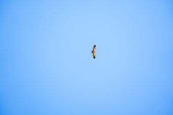 Vlucht over de Drakensbergen