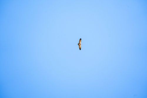 Vlucht over de Drakensbergen