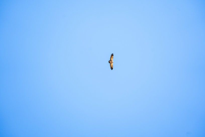 Flug über die Drakensberge von Lone Drifters