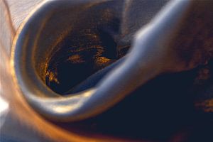 Goldene Falten – Lichtreflexe auf metallic Stoff