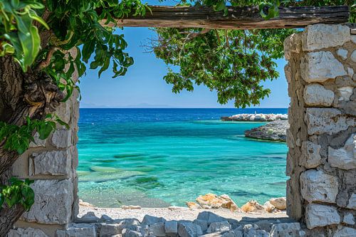 uitzicht uit het raam