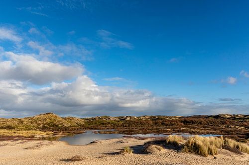 Duinlandschap in Bergen aan Zee, Noord-Holland, Nederland, EuropaDuinlandschap in Bergen aan Zee, No