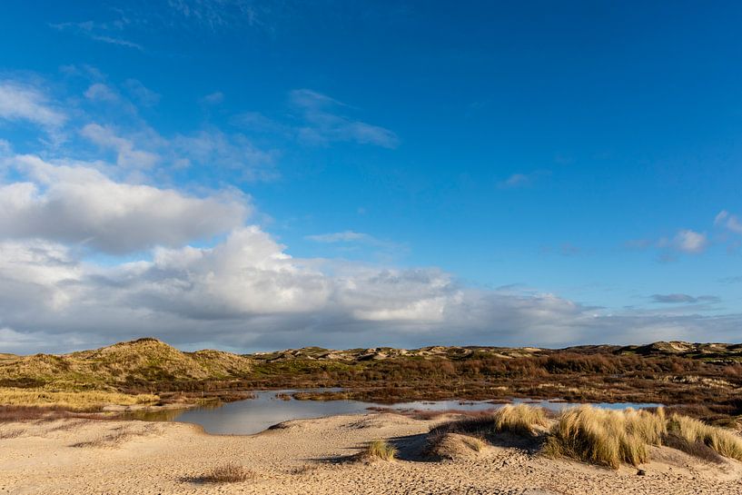 Dune landscape in Bergen aan Zee, North-Holland, Netherlands, EuropeDune landscape in Bergen aan Zee by WorldWidePhotoWeb