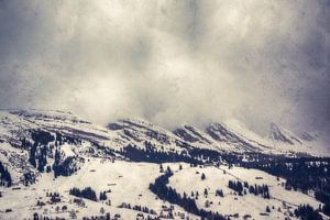 Churfirsten in den Wolken