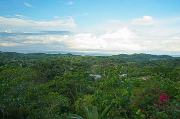 Uitzicht op het regenwoud en de Stille Oceaan vanuit Ojochal in Costa Rica