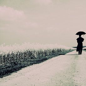 rapeseed path with walking figure by marleen brauers