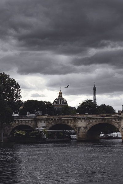 La Seine by Olivier Peeters