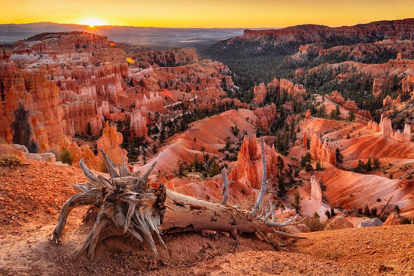 Bryce Amphitheater at sunrise, Bryce Canyon, Utah, USA by Markus Lange