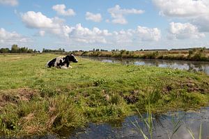 Eine Kuh in einer Polderlandschaft mit gestapelten Wolken im Hintergrund