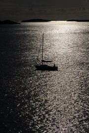 The Black Shadow of the Sea by Gerry van Roosmalen