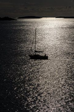 De Zwarte Schim van de Zee van Gerry van Roosmalen
