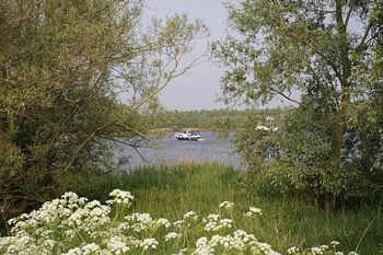 Bateau à voile sur une rivière