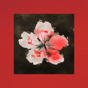 Japanische Zierkirsche (Prunus) in Schwarz mit rotem Rand